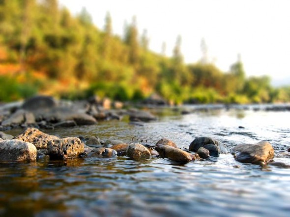 American River