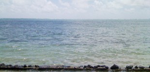 Beachfront afternoon