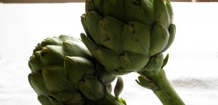 Artichokes