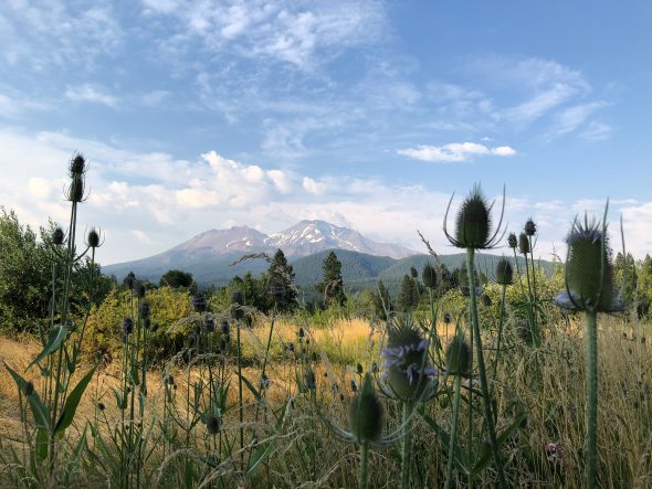 MtShasta-1975